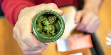 Close-up of hand holding cannabis container.