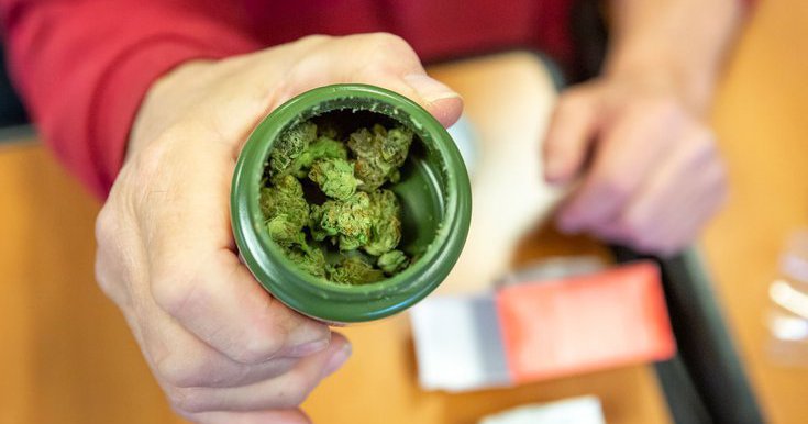 Close-up of hand holding cannabis container.