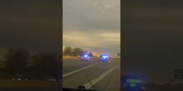 Police cars with flashing lights on highway