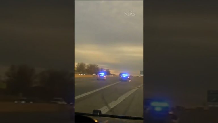 Police cars with flashing lights on highway