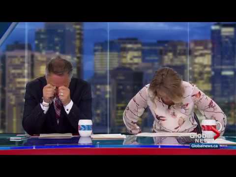 News anchors laughing at a desk on live broadcast.