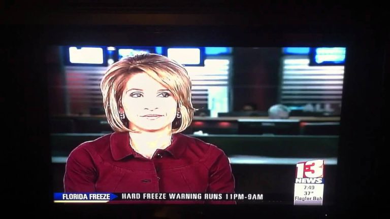 News anchor reports Florida freeze warning on TV.