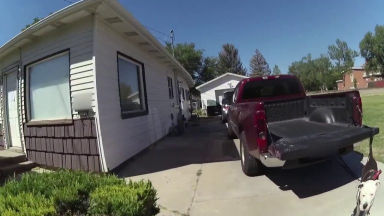 Driveway with parked pickup truck and nearby houses.