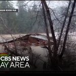 Flooded river surrounds submerged structure in forested area.