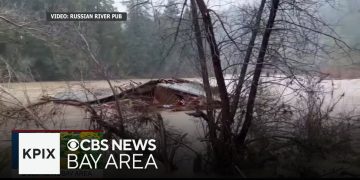 Flooded river surrounds submerged structure in forested area.