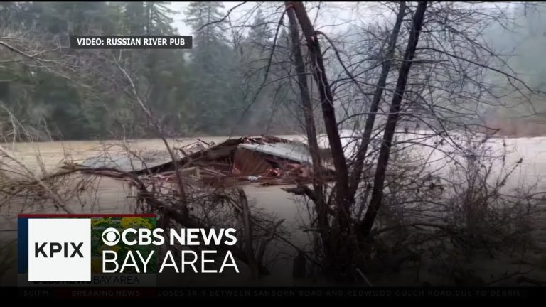 Flooded river surrounds submerged structure in forested area.