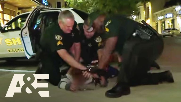 Police officers detaining person near patrol car at night.