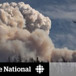 Helicopter flying over massive wildfire smoke cloud.