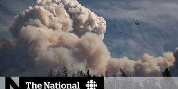 Helicopter flying over massive wildfire smoke cloud.