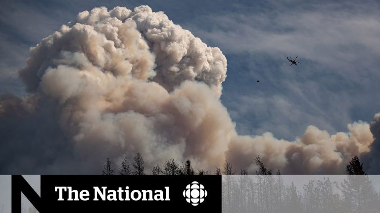 Helicopter flying over massive wildfire smoke cloud.