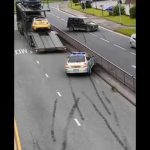 Police car and truck on roadside with tire marks.