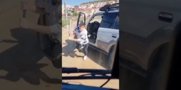 Person with baseball bat beside silver car