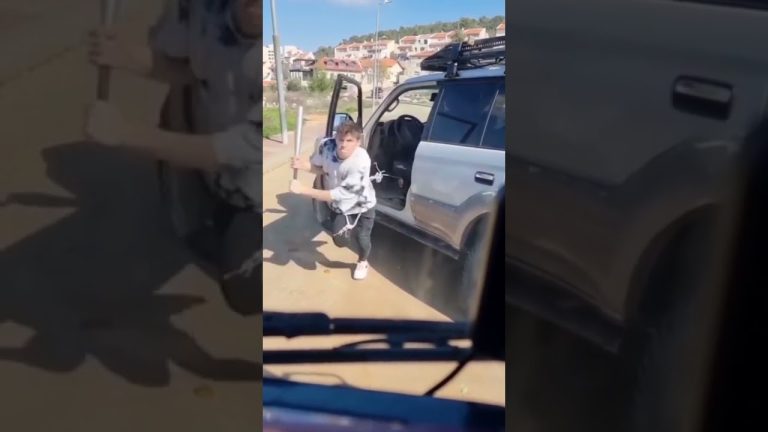 Person with baseball bat beside silver car