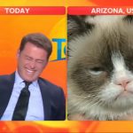 Person laughing next to grumpy cat on TV.