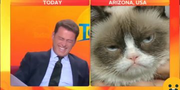 Person laughing next to grumpy cat on TV.