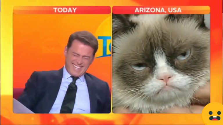 Person laughing next to grumpy cat on TV.