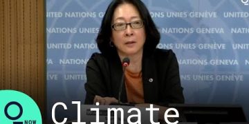 Speaker discusses climate at United Nations conference.