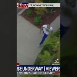 Aerial view of person running on sidewalk.