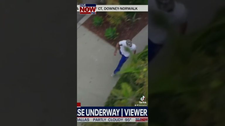 Aerial view of person running on sidewalk.