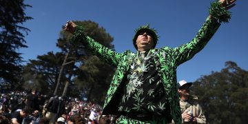 Person in cannabis-themed suit at outdoor gathering.