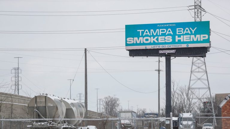 Billboard reads 'Tampa Bay Smokes Hemp' near highway.