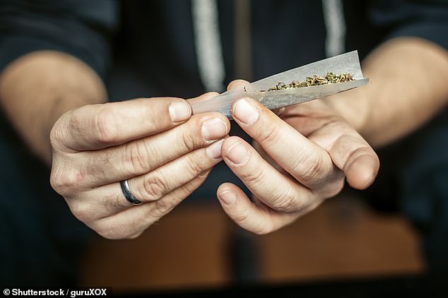 Person rolling a cannabis joint with paper