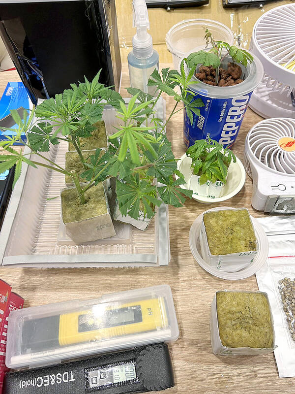 Indoor plants with growing supplies on table.