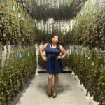 Woman in cannabis drying room, inspecting plants.