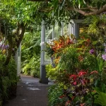 Lush botanical garden pathway with diverse plants.