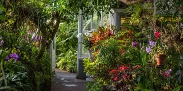 Lush botanical garden pathway with diverse plants.