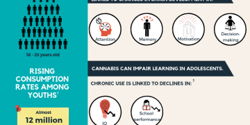 Infographic on cannabis effects on youth brain development.