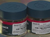 Two jars of hybrid cannabis strains.