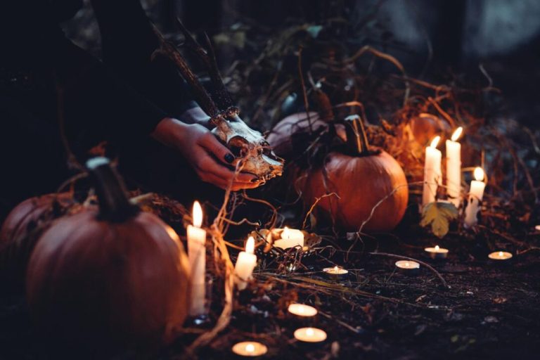 Pumpkins and candles with skull in forest scene.