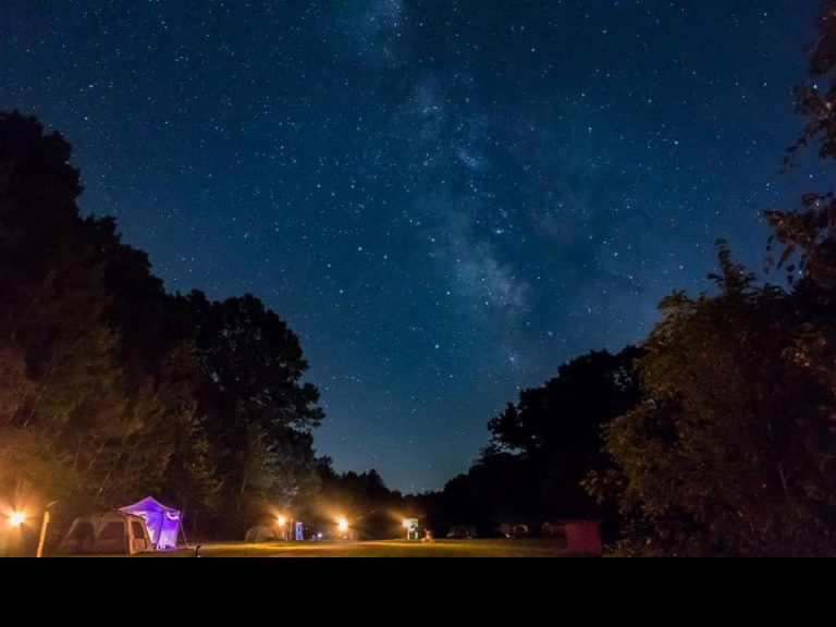 Starlit campsite under a clear night sky.