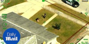 Aerial view of police near a suburban house.