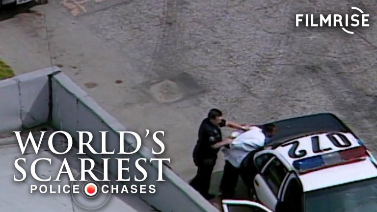 Police arrest person on top of patrol car