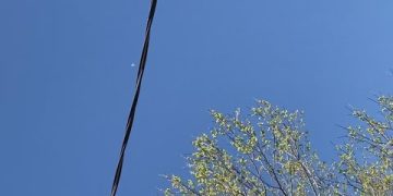 Clear sky with airplane, wires, and tree branches.