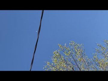 Clear sky with airplane, wires, and tree branches.