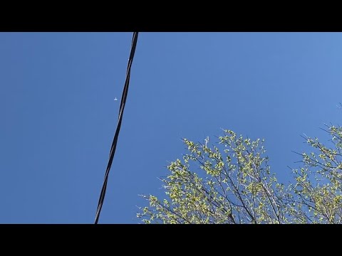 Clear sky with airplane, wires, and tree branches.