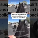 Police chase shoplifter on horseback in Albuquerque parking lot.