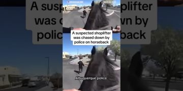 Police chase shoplifter on horseback in Albuquerque parking lot.