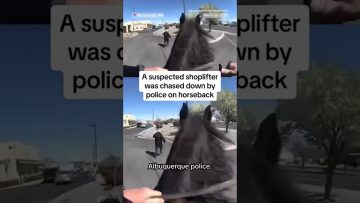 Police chase shoplifter on horseback in Albuquerque parking lot.