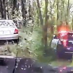 Police car pursuing vehicle through forest trail.