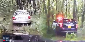 Police car pursuing vehicle through forest trail.