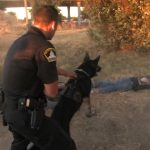 Police officer and dog beside person on ground