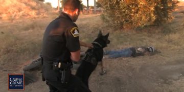 Police officer and dog beside person on ground