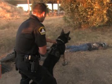 Police officer and dog beside person on ground