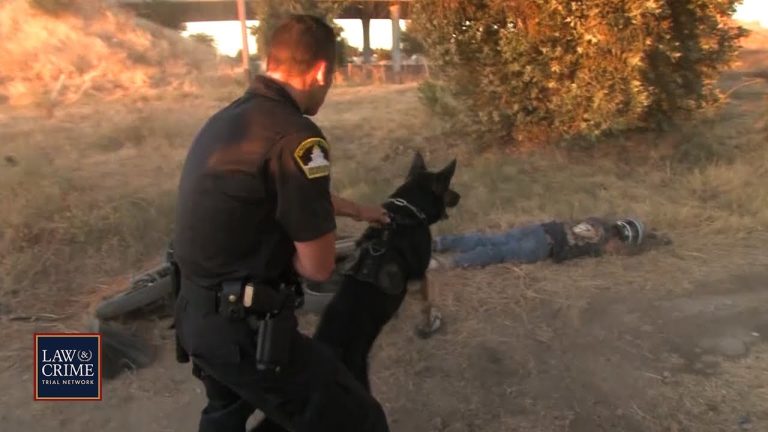 Police officer and dog beside person on ground