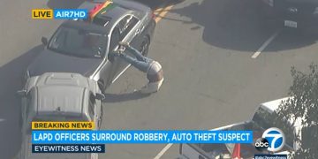 Police surround suspect's car during robbery investigation.