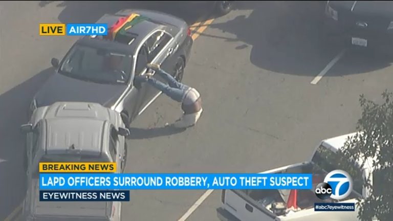 Police surround suspect's car during robbery investigation.